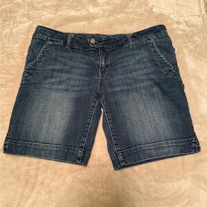 American Eagle Outfitters Blue Jean Shorts